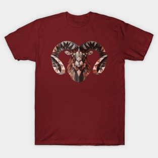 aries T-Shirt